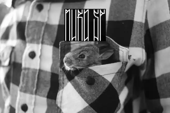 MURO SP Font examples