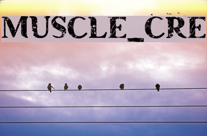 MUSCLE_CRE Font examples