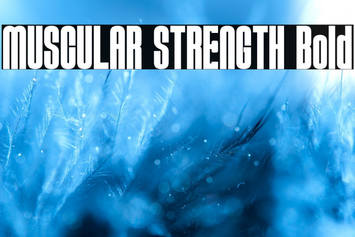 MUSCULAR STRENGTH Bold Example 2