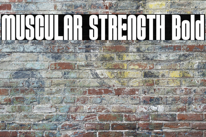 MUSCULAR STRENGTH Bold Example 3