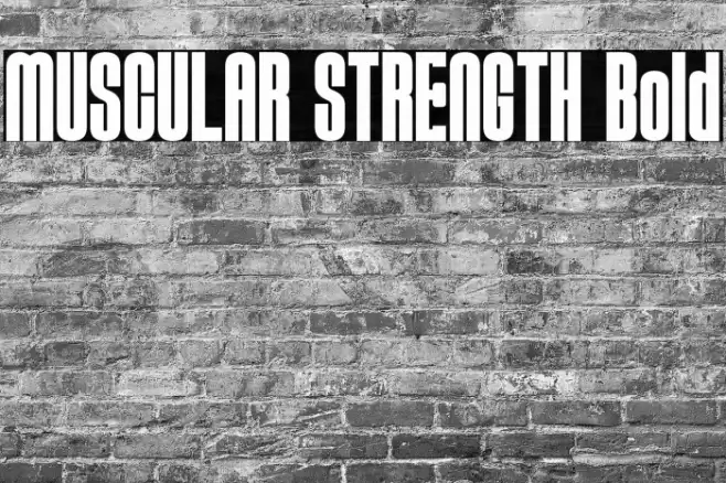 MUSCULAR STRENGTH Bold Font examples