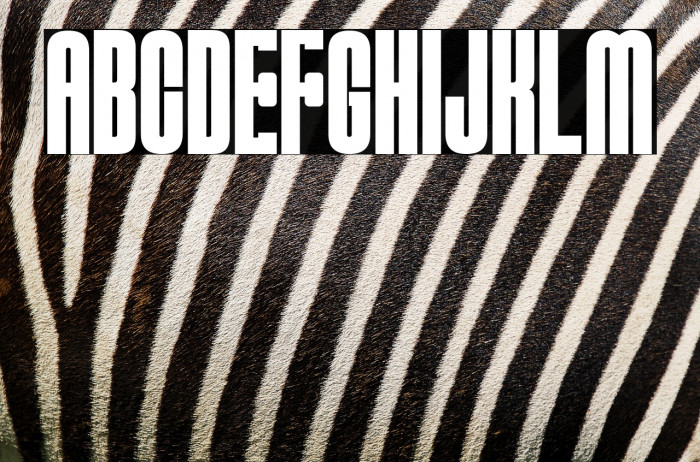 MUSCULARSTRENGTH-Bold Example 3