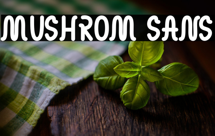 MUSHROM SANS Example 1