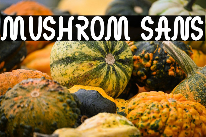 MUSHROM SANS Example 2