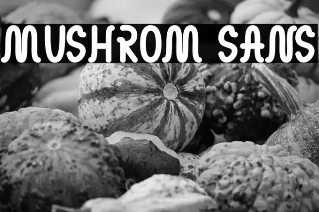 MUSHROM SANS Caratteri examples