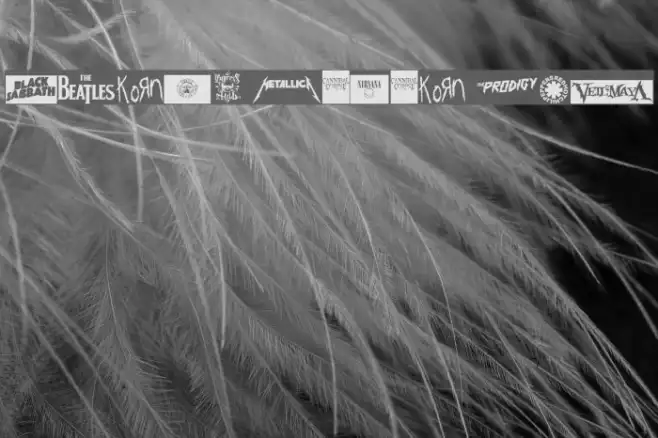 MUSIC LOGOS TFB Example 3