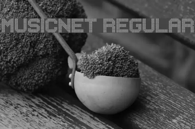 MUSICNET Regular Font examples