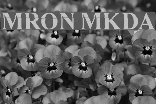 MuRdOiNk MKDA Font examples