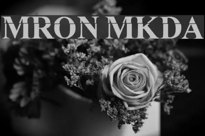 MuRdOiNk MKDA Font examples