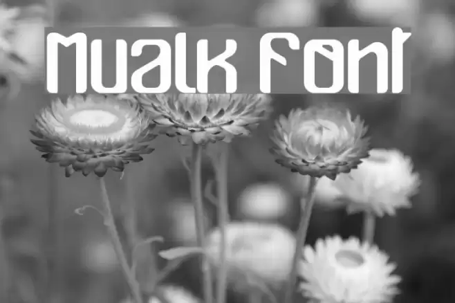 Mualk Font examples