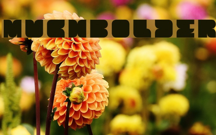 MuchBolder Font examples