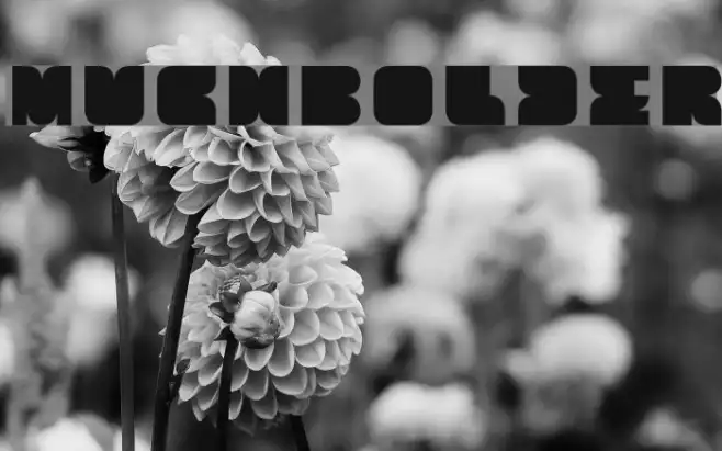 MuchBolder Example 2