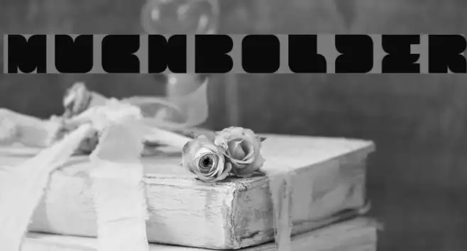 MuchBolder Example 3
