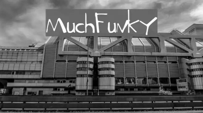MuchFunky Example 1