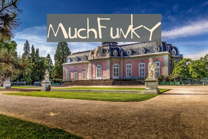 MuchFunky Font examples