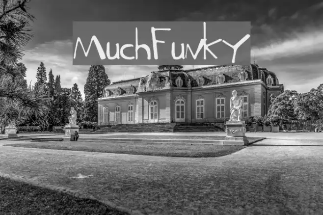 MuchFunky Example 3