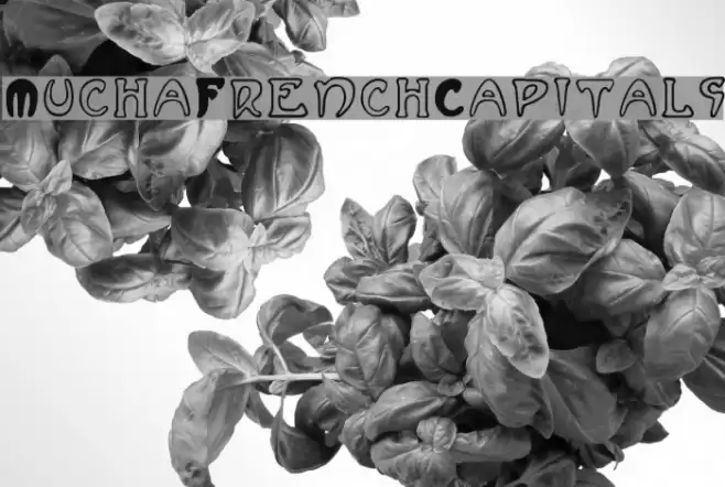MuchaFrenchCapitals Font examples