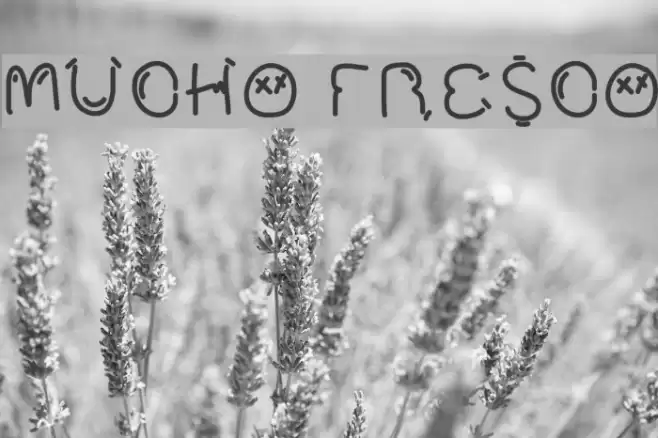 Mucho Fresco Fonte examples