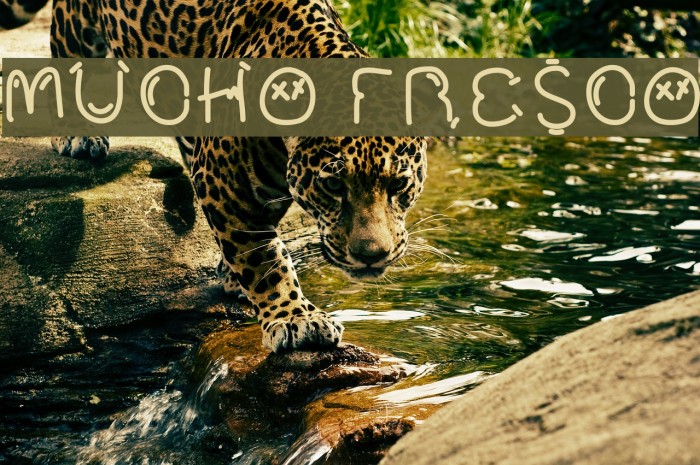 Mucho Fresco Fonte examples