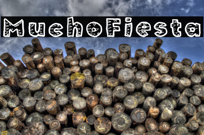 MuchoFiesta Example 3