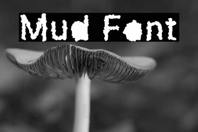 Mud Font examples