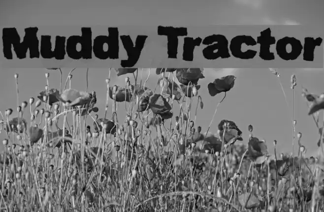 Muddy Tractor Font examples