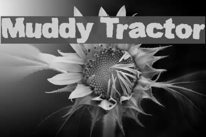 Muddy Tractor Font examples