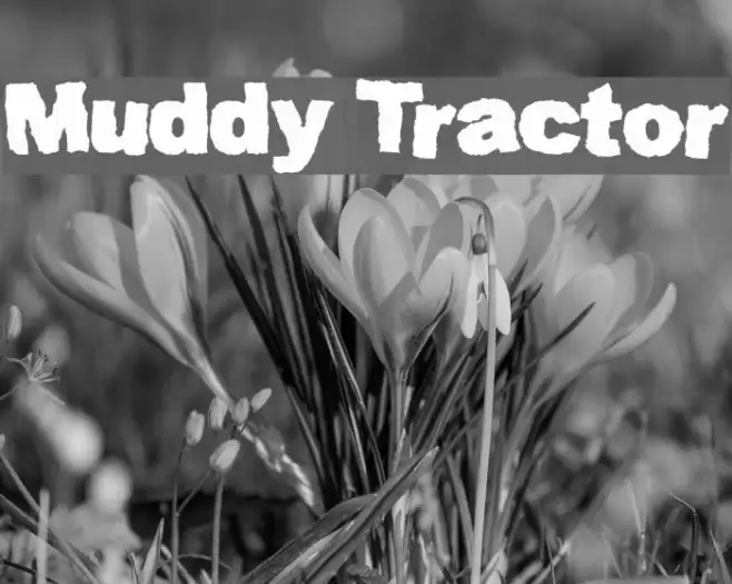 Muddy Tractor Font examples