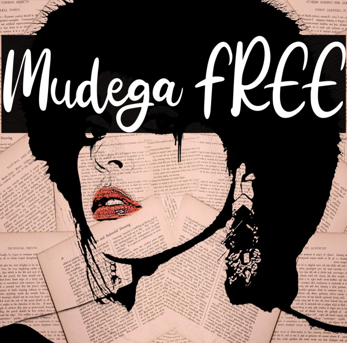 Mudega FREE Example 1