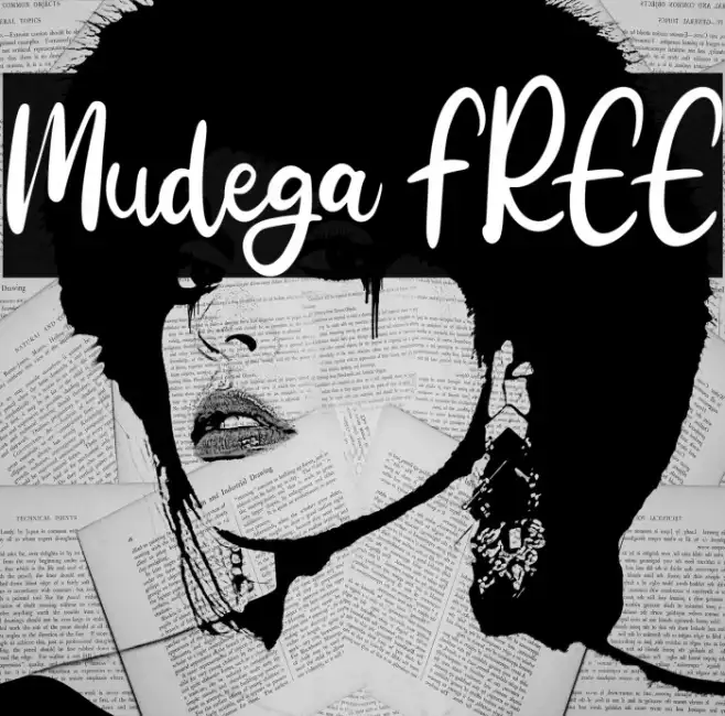 Mudega FREE Example 1