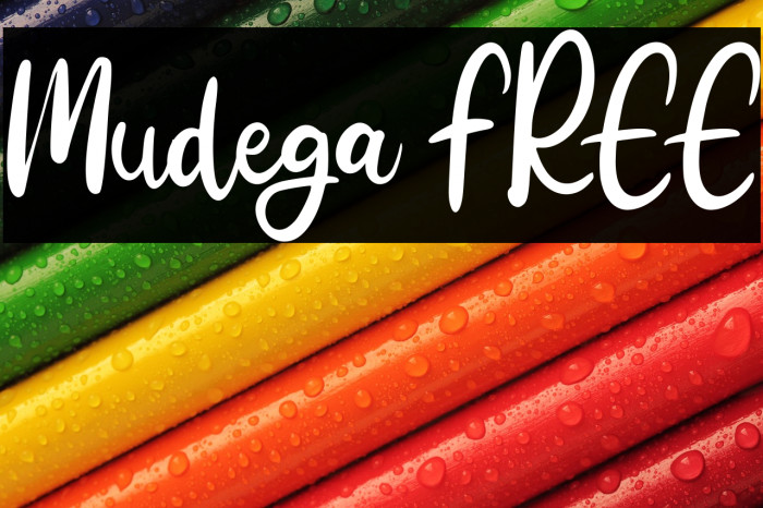 Mudega FREE Example 2