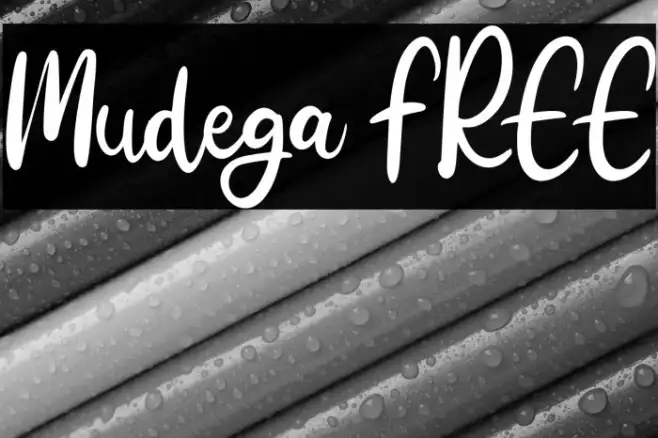 Mudega FREE Example 2