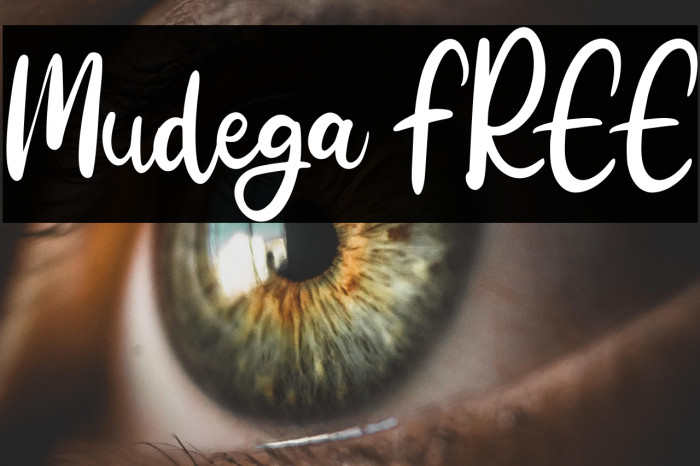 Mudega FREE Example 3