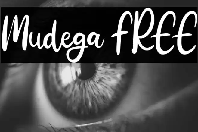 Mudega FREE Example 3