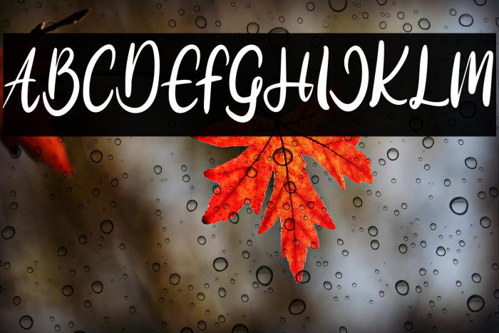 MudegaFREE Example 2