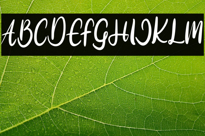 MudegaFREE Example 3