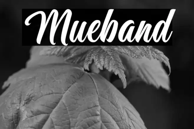 Mueband Font examples