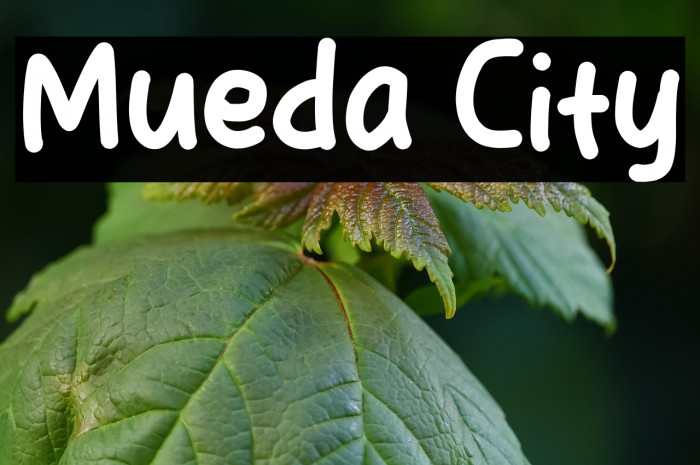 Mueda City Example 1