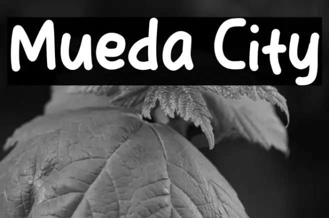 Mueda City Example 1