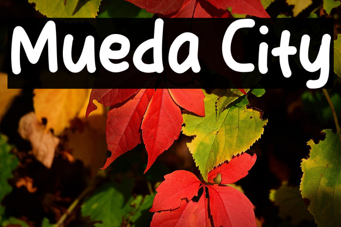 Mueda City Example 2