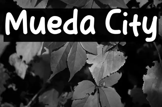 Mueda City Example 2
