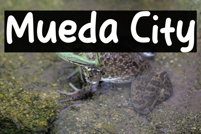 Mueda City Example 3