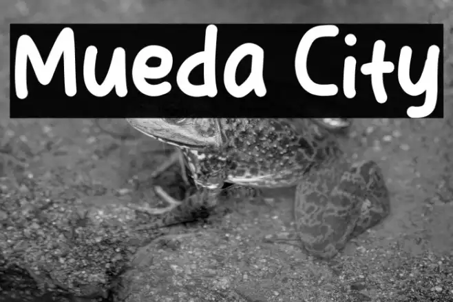 Mueda City Example 3