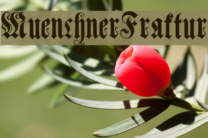 MuenchnerFraktur Font examples