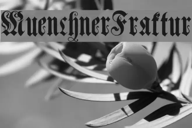 MuenchnerFraktur Schriftart examples