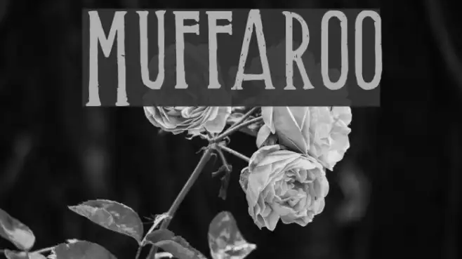 Muffaroo Example 1