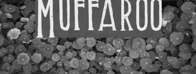 Muffaroo Example 2