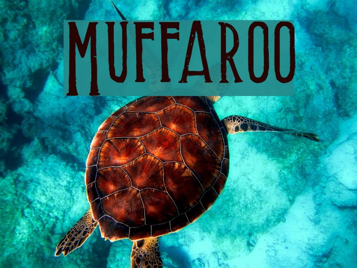 Muffaroo Font examples