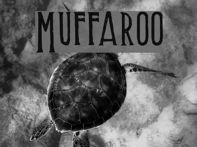 Muffaroo Example 3