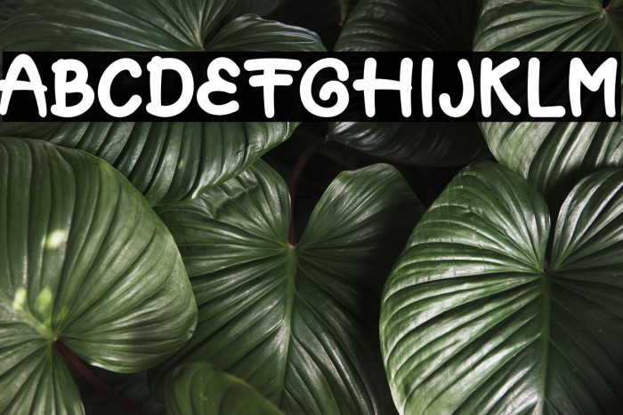 MuffinCakeDEMO Font examples
